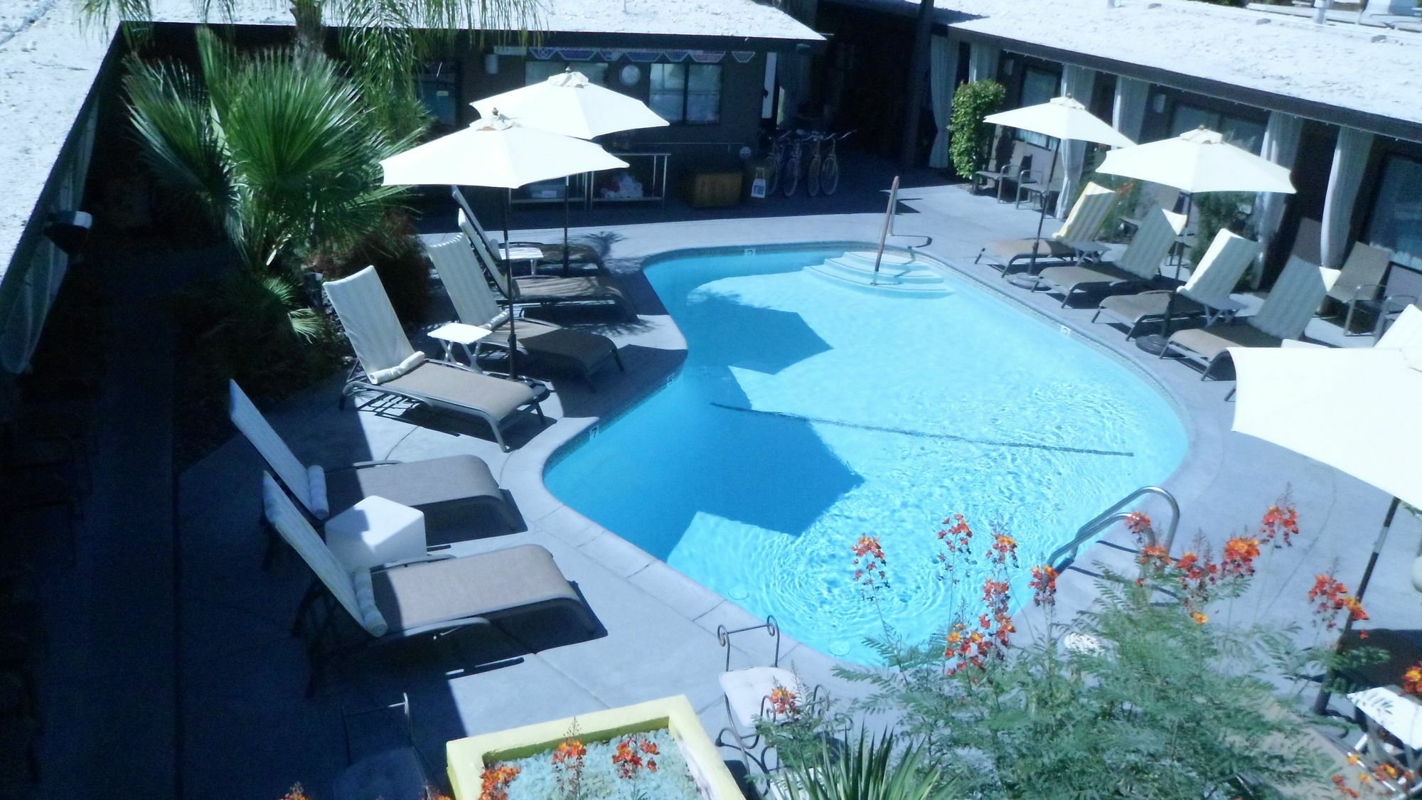 Avanti Hotel Παλμ Σπρινγκς Εξωτερικό φωτογραφία